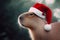 a capybara animal wearing a santa hat, funny pet, profile portrait, generated image