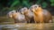 Capybara family in natural habitat. Generated AI