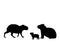 Capybara family. Silhouettes of animals