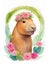 Capybara funny animal. Cute mammal illustration