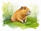 Capybara funny animal. Cute mammal illustration