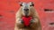 Capybara holds a big red heart in her paws on a minimalistic bright background