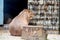 Capybara or Hydrochoerus hydrochaeris sits on ground in zoo. Back view