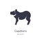capybara icon. isolated capybara icon vector illustration from animals collection. editable sing symbol can be use for web site