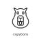 Capybara icon. Trendy modern flat linear vector Capybara icon on