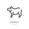 capybara outline icon. isolated line vector illustration from animals collection. editable thin stroke capybara icon on white