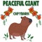 Capybara - peaceful giant