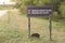 Capybara pup, hydrochoerus hydrochaeris, in El Palmar National Park, Argentina