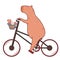 Capybara riding bicycle