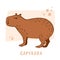 Capybara. Vector color illustration of capybara. Drawing of an animal in cartoon style