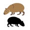 Capybara vector illustration flat style silhouette