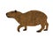 Capybara vector illustration isolated on white background.