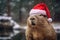 capybara wearing Santa hat on bokeh backdrop.