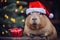 capybara wearing Santa hat on bokeh backdrop.