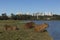 Capybaras resting.