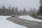 Car in blurred motion in bend of rural asphalt road