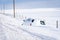 Car buried in snow after sliding off a rural road