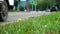 Car, bus rides on road. Blurred background. Close up shot, focused on grass in foreground