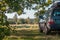 car with a car rack on the roof stands in a clearing in nature under a huge oak tree in the summer