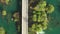 Car crossing road bridge over Mreznica river in Croatia, overhead shot of countryside landscape