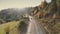 Car drives along grey asphalt road past dense mixed forest