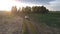 Car drives along winding road past cluster of green trees