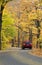 Car Drives Down Autumn Canopied Road