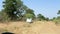 Car driving on main road road to Okavango