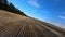 Car driving near agricultural field at sunset