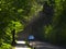 Car driving over a dusty forest road at dawn