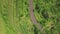 Car driving on road in asian village on green rice field landscape. Drone view growing rice plantation and car road in