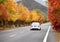A car is driving on a road in the mountainous countryside in late autumn.