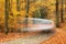Car driving on small cobblestone road covered by leaves through forest in autumn