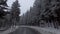 Car driving through snowy road in winter, Tatra mountains