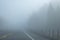 Car Driving Through Thick Fog in Early Morning #5