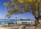 Car ferry in the beautiful port of Sami Kefalonia