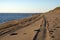 Car footprint on a wild beach. Summer sand beach background. Adventure tourism.