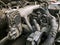 Car gasoline engine photo. Car engine parts. Close-up image, internal combustion engine, used car, natural light,
