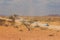 Car on gravel road, Damaraland, Namibia