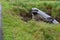 A car has run off the road and ended up in a river bed