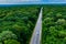 Car on the highway. grey car driving on asphalt road through a green forest.