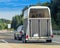 Car with horse trailer on road in Switzerland