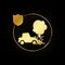 car, insurance, fire gold icon. Vector illustration of golden particle background