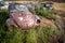Car junkyard with wreck of a destroyed cars. Environmental pollution metal recycling.