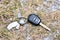 Car key drop on the road background. Car key lost on the road