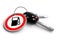 Car Keys with keyring: Petrol Sign. Concept of petrol / gas / fuel / Oil prices