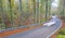 Car lights in a beech forest on the mountain slope in Aralar mountains