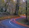 Car lights at night crossing in forest in autumn