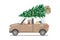 Car loading Christmas tree on the roof,Side view - Mother and