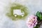 Car made of green powder and rose on a light background. Online shopping. Flowers delivery concept